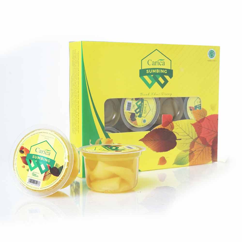 carica-cup-isi-12